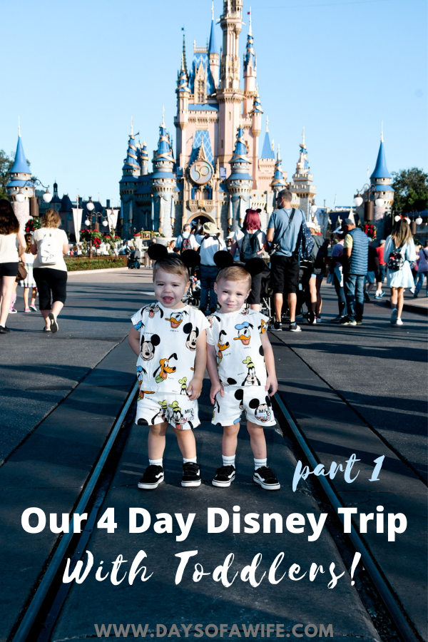 Our Four Day Disney World Trip with 2 Year Old Twin Toddlers at ...